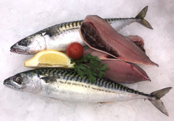 Line caught mackerel