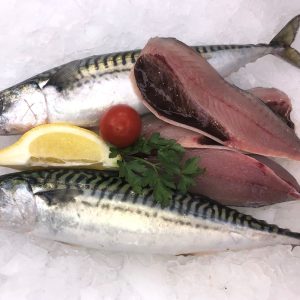 Line caught mackerel