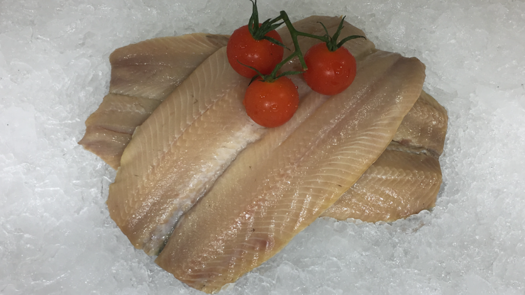 kipper fish kipper fish