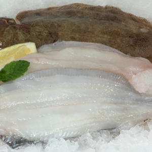 Lemon sole