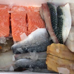 Oily fish box