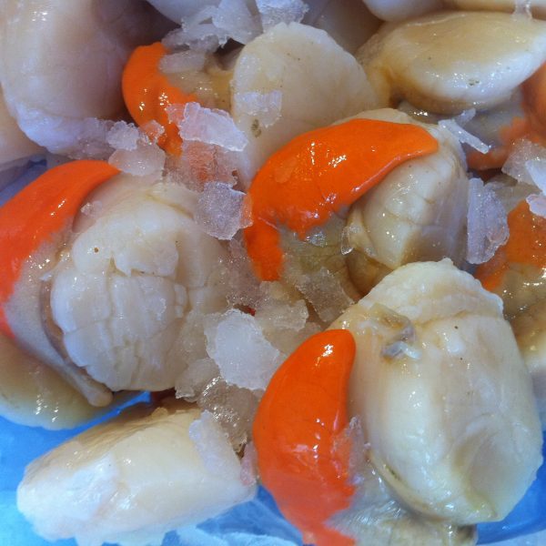 King Scallops | Fresh Cornish Crab, Shellfish & Prawns, Locals | Fresh ...