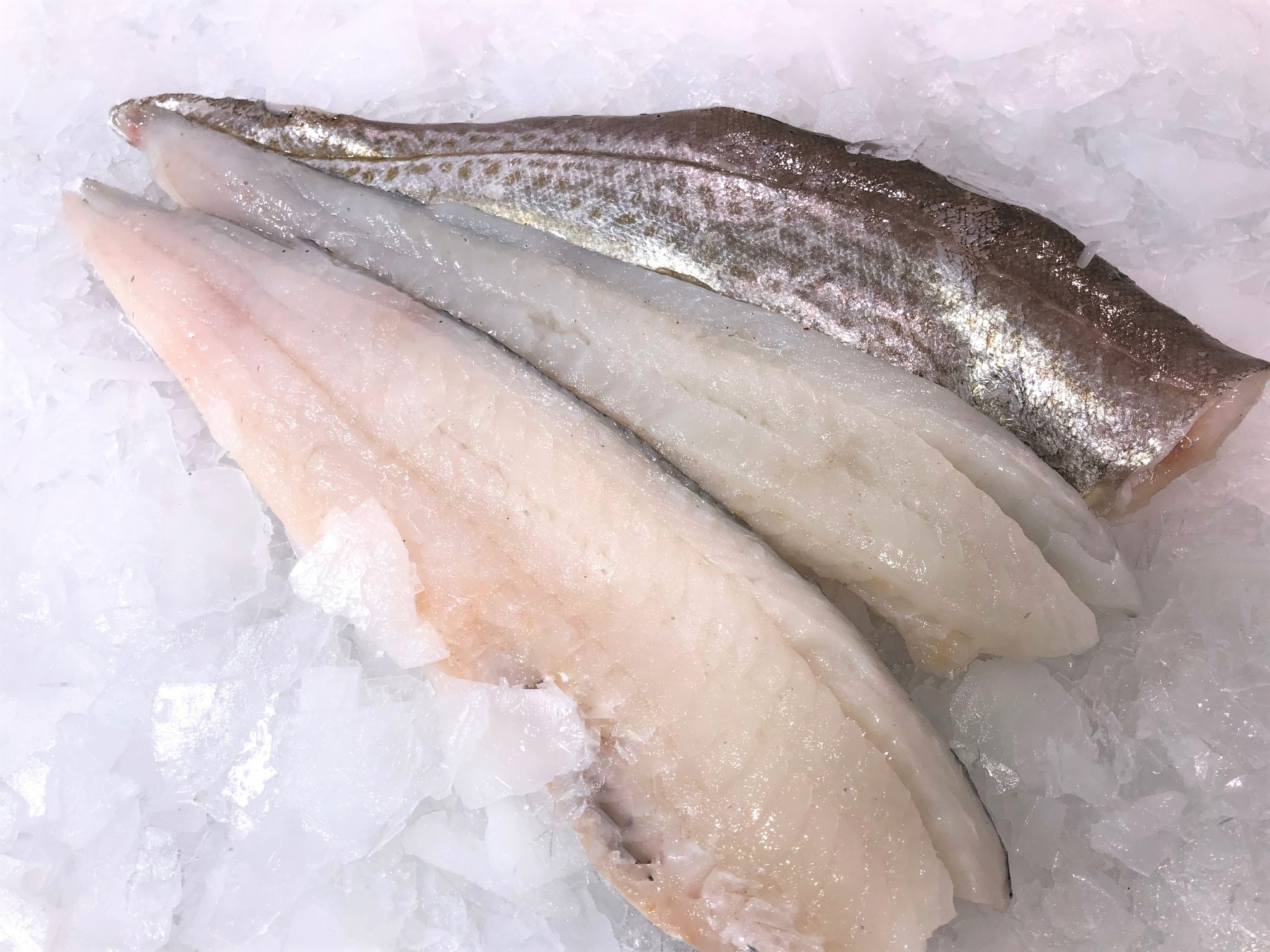 Whiting Fish Fillets Dukkah Crusted Whiting Fillets
