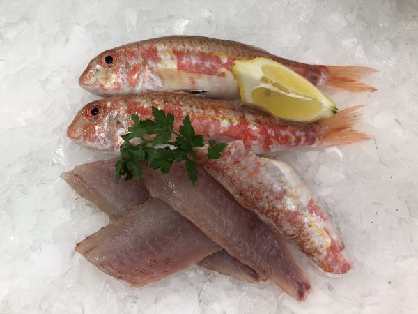 Red Mullet