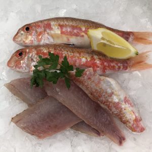 Red Mullet