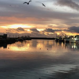 Customers favourite 5 fish box.